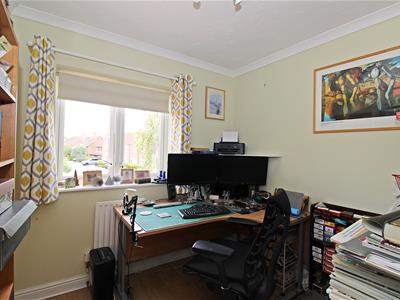 Picture 15